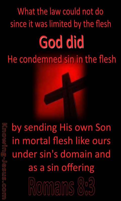 Romans 8:3 God Sent His Son As A Sin Offering (black)